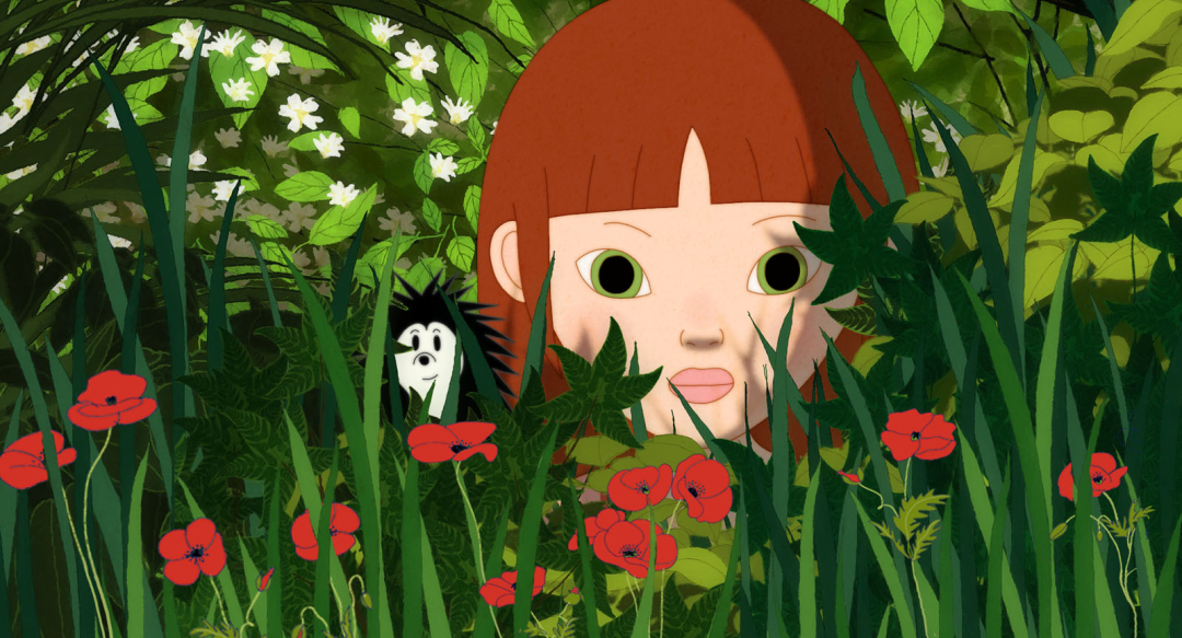 小刺猬的秘密.png